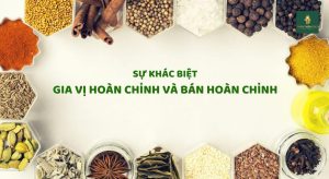 sự khác nhau của Gia vị hoàn chỉnh và gia vị bán hoàn chỉnh