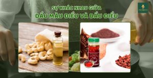 sự khác nhau giữa dầu màu điều và dầu điều