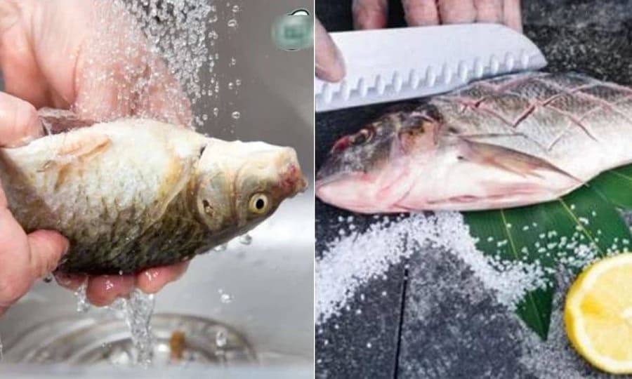Cách khử mùi tanh của cá hiệu quả đơn giản